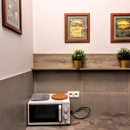 One-bedroom Flat In Stradom! Lem , Stradomska 5, 17 Apartment *